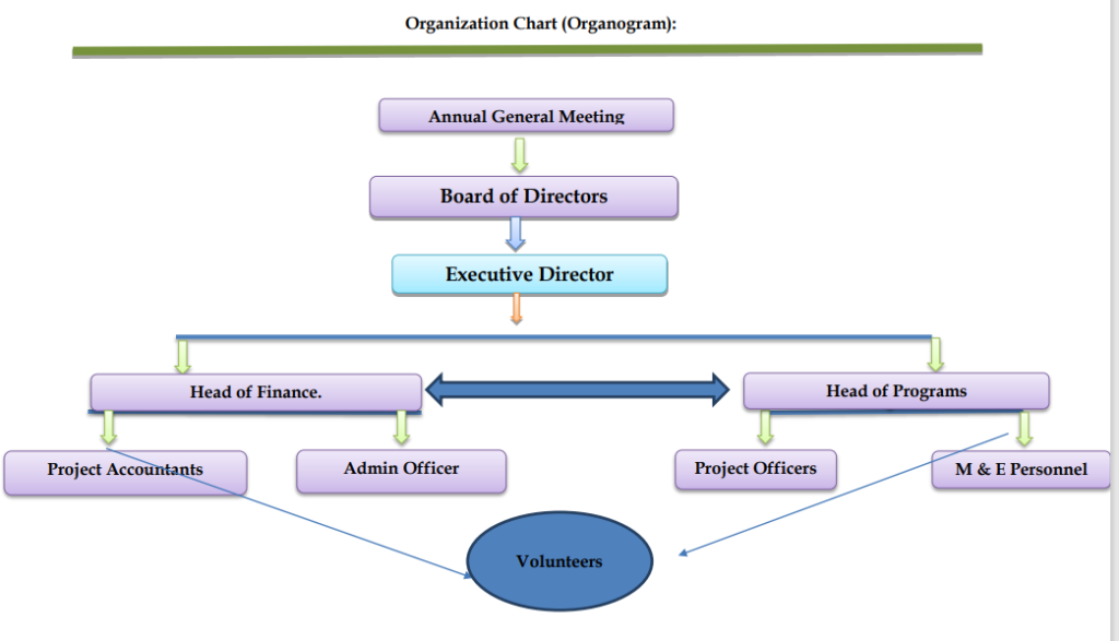 community development organization chart in Tanzania